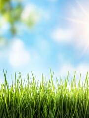 Fototapeta premium Lush Green Grass Blades Against a Soft Blue Sky Background with Sun Flare Capturing the Essence of Spring and Renewal