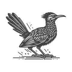 Obraz premium Simple Roadrunner Side View Vector Icon Design – Vintage Retro Logo & Illustration