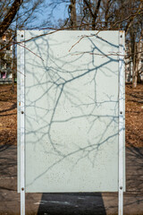 Blank banner/information board in the park. Organic drop shadow on the info booth, wall art.  Sunny spring day.