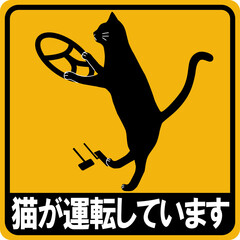 猫が運転しています_AT