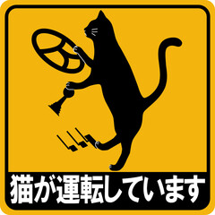 猫が運転しています_MT