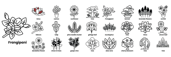 A series of trees and flowers are shown in a row