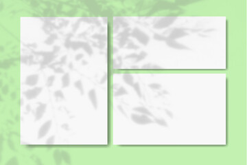 Natural light casts shadows from the leaves and branches of the tree on horizontal and vertical sheets of white textured paper against a green wall. Mockup