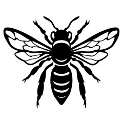 Black and white vector drawing of a honey bee in flight
