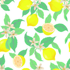 Lemon summer seamless vector pattern. Botanical tropic illustration. Vintage print.