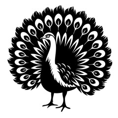 Elegant black and white silhouette of a peacock displaying its majestic feathers