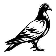 Obraz premium Elegant black and white graphic illustration of a pigeon bird standing tall