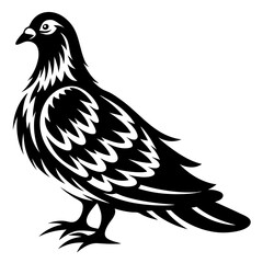 Elegant Black and White Pigeon Illustration with Detailed Feather Design