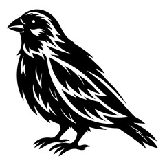Stylized Black Bird with Feather Detail on White Background Vector Illustration