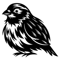 Obraz premium Stylized vector graphic illustration of a sparrow bird in black and white