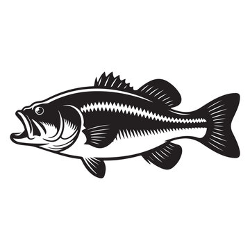 black and white bass fish profile clip art preview