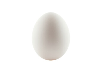 Isolated Simple White Chicken Egg