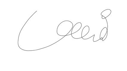 Hand-Drawn Scribble Signature Line Art Minimalist Design  