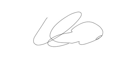 Hand-Drawn Signature in Minimalistic Style on White Background  