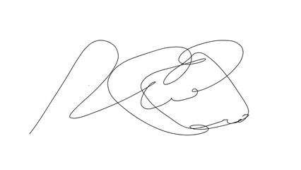 Hand drawn scribble vector line art of a signature on a white background  