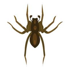 Cute cartoon hand drawn vector spider clipart.