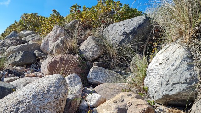 Feldsteine zur D&uuml;nenbefestigung bei Kellenhusen, Ostsee