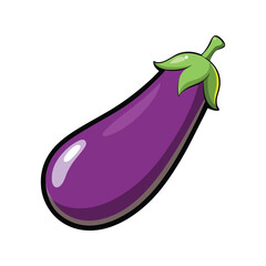 Eggplant brinjal vegetable vector illustration fresh purple healthy food farm produce design