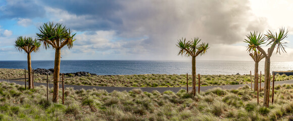 Lagoa, São Miguel, Azoren: Panoramablick auf den Atlantik mit Palmen im Vordergrund vor blauem Meer. Eine malerische Szenerie, die Ruhe und Gelassenheit ausstrahlt.
