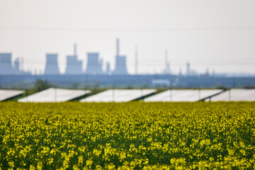 three types of energy production industries, rapeseed, photovoltaic panels and petrochemicals...