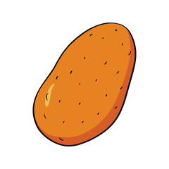 Potato vector illustration. Root vegetable illustration for farming, healthy eating, rustic food themes