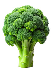 Fresh green broccoli, showcasing its vibrant florets and sturdy stalk.