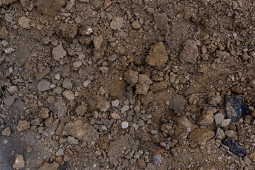 texture of the ground