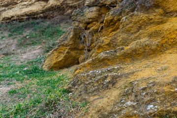 mountain stream in the mountains