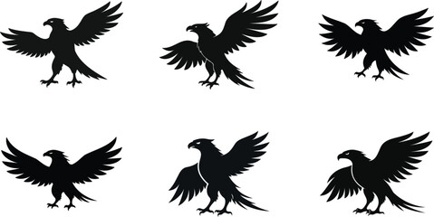 Six distinct, black silhouette images of eagles in various flight positions against a pure white background.