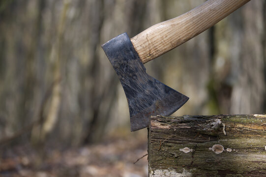 An axe is deeply embedded in a weathered log, set against a blurred forest backdrop.