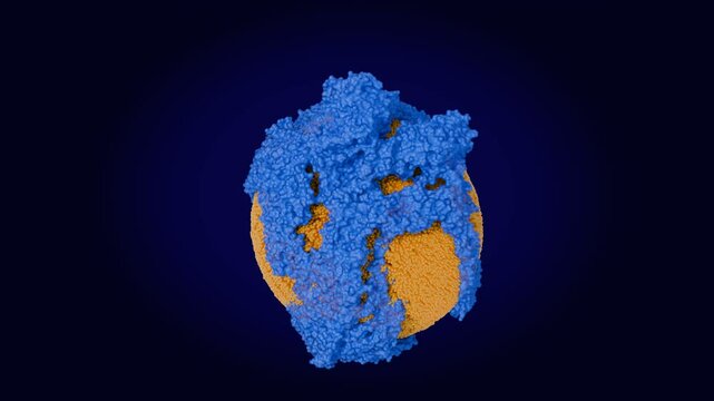 Low-density lipoprotein particle. Loopable turntable animation