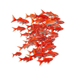 School of Red Fish Swimming in Formation, Isolated on Transparent Background