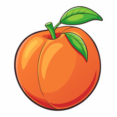 vector illustration of an orange