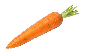 carrot isolated on transparent background