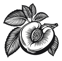 Vintage Style Engraving of a Peach and Leaf Design in Black and White