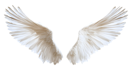 Stunning Angel Wings - High-Quality Stock Photograph for Creative Projects