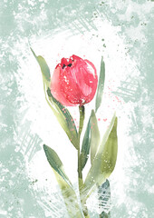 A delicate tulip, a spring summer illustration, a gift card for a woman, a mother. Creative postcard design with flowers on a textured green background.