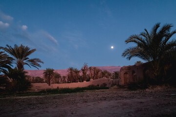 Moonlit desert oasis with palm trees. Peaceful night landscape, Middle East. Travel, nature. © S. Melkin 