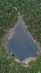 Aerial View of Pontelletto Lake Surrounded by Lush Green Forest

