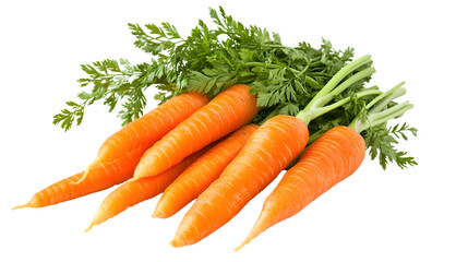 Vibrant Fresh Orange Carrots with Green Leaves Isolated on White Background