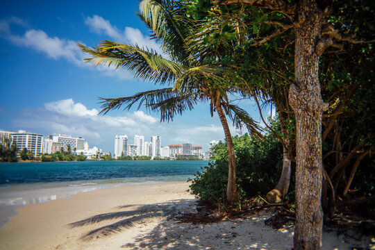 Condado Lagoon in Puerto Rico 
