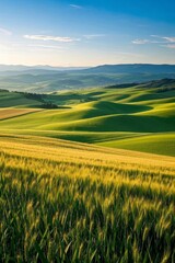 Obraz premium a field of green grass with hills in the background