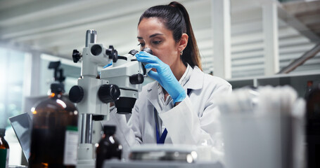 Woman, research or scientist with microscope for forensic study or new discovery at lab. Female...