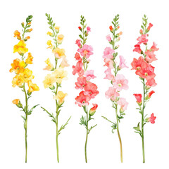 Bouquet of flowers isolated on transparent background