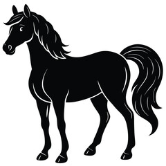Horse Stallion Illustration