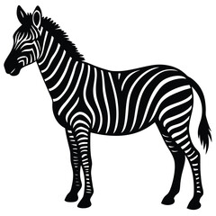 Zebra Safari Wildlife Drawing