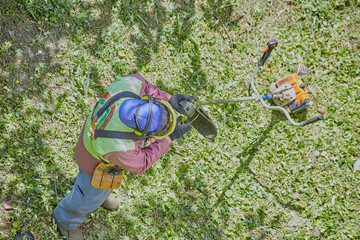 Before starting work, the gardener in protective gear inspects the trimmer and replaces the strings.