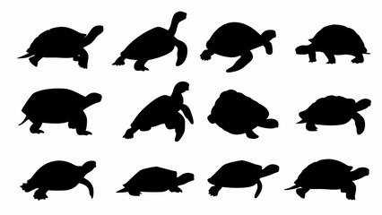 set of turtles silhouette vector on white background