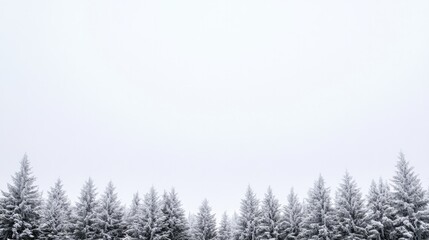 Snow-covered trees create serene winter landscape under cloudy s