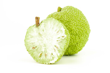 Maclura Orange exotic fruit on white background